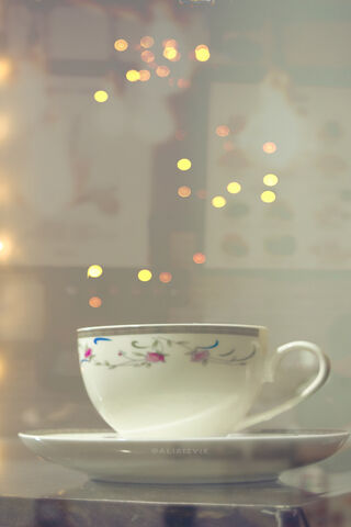 Cozy Moments in Winter