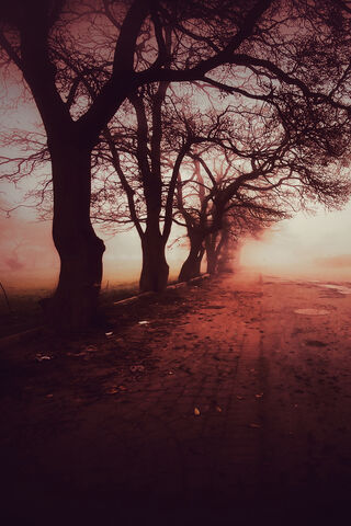 Mystical Winter Stroll ❄️🌫️