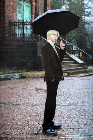 Winter Elegance: RM in the Rain