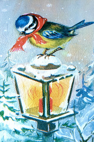 Charming Winter Companion