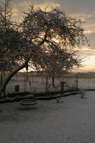 Winter's Embrace ❄️🌅