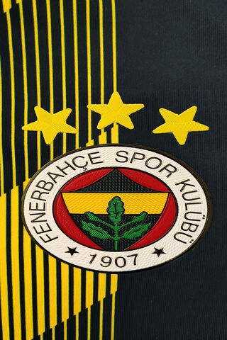 Fenerbahçe: A Legacy of Excellence 🌟⚽