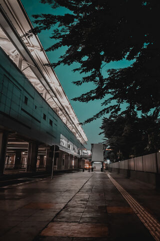 Night Serenity on Jalanan Kota 🌙✨