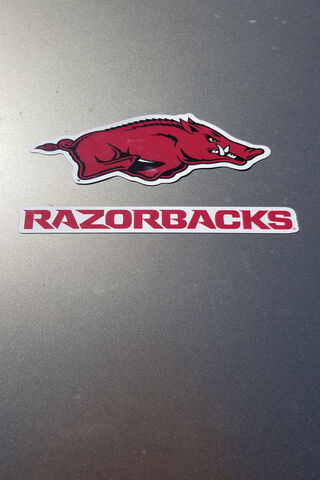 Razorbacks Pride: A Symbol of Team Spirit! 🐗❤️