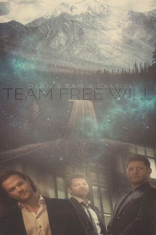 The Power of Choice: Team Free Will 🌌✨