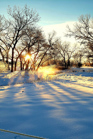 Chill of Dawn: A Winter Awakening ❄️🌅