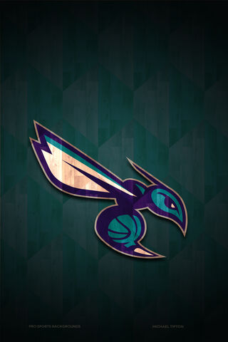 Buzzing with Team Spirit: Charlotte Hornets Logo