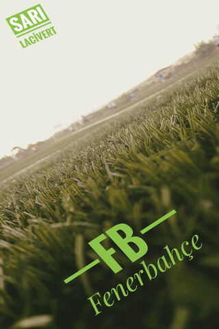 Green Dreams: The Spirit of Fenerbahçe 🌿⚽