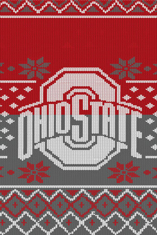 Cozy Ohio State Spirit! 🎉🧣