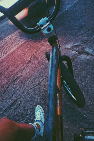 Riding the Edge: BMX Adventures 🚴 ️✨