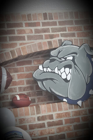 Bulldogs Football Spirit 🏈🐶