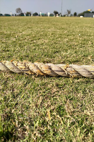 The Heart of the Game: Cricket Ground Vibes 🏏🌿
