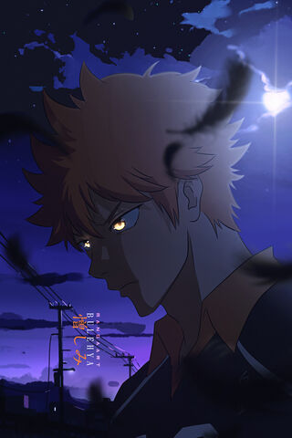 Hinata Shoyo: The Rising Star of Volleyball 🌟🏐