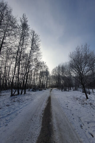 Nat's Winter Wonderland ❄️🌲