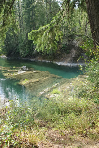 Serenity by the Stream 🌲💧