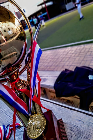 Chasing Glory: The Trophy of Champions 🏆✨