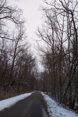 Serene Winter Pathway ❄️🌲