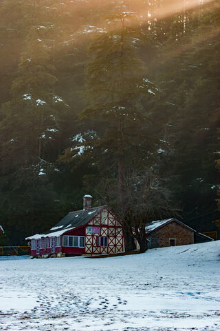 Winter's Embrace: A Cozy Retreat ❄️🏡
