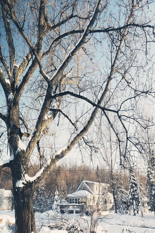 Enchanted Winter Escape ❄️🏡