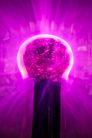 Plasma Bulb
