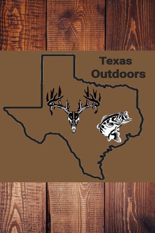 Wild Adventures in the Lone Star State 🌟