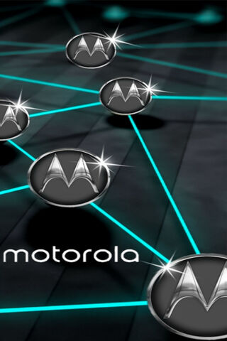 Connecting the Future: ..