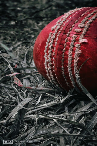 The Heart of T20 Cricket: A Red Gem