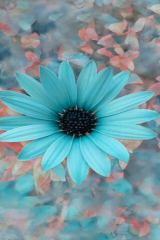 Aqua Electric Bloom: Nature's Vibrant Touch 🌼💧