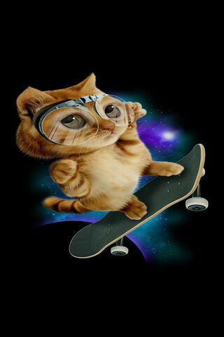 Cosmic Cat on a Skateboard 🌌🐾