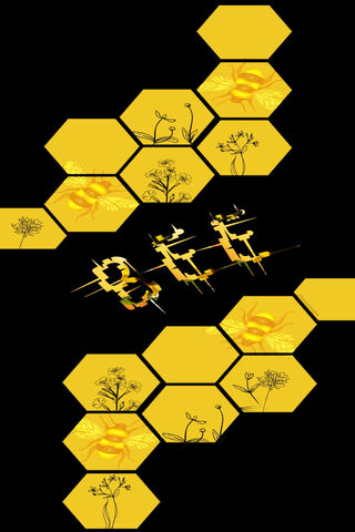 Buzzing into Bee World 🐝🌼