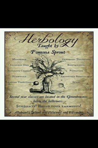 The Enchanted Herbology Class 🌿✨