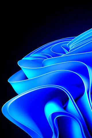 The Fluid Elegance of Windows 11 🌊✨