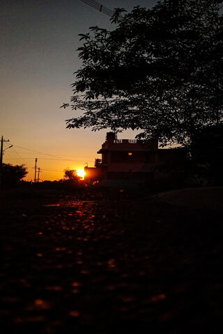 Golden Hour Serenity 🌅