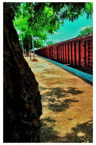 Tracks of Time: A Journey Through the Station 🚂🌳