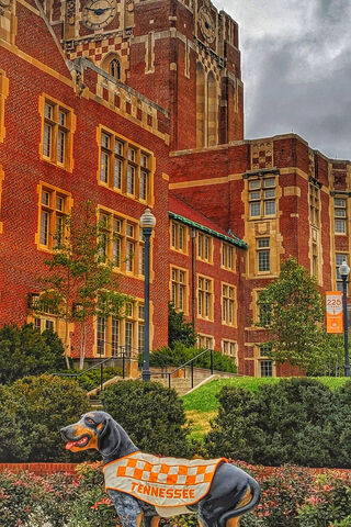 Rocky the Rottweiler: A Symbol of The Hill at UTK 🐾🏫