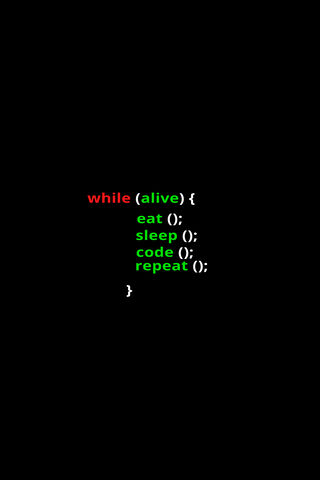 The Programmer's Life Cycle: Code, Eat, Sleep, Repeat! 💻🔄