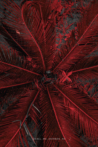 Crimson Canopy: Nature's Bold Statement 🌿❤️