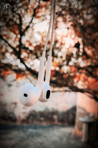 Melodies in the Air 🎶