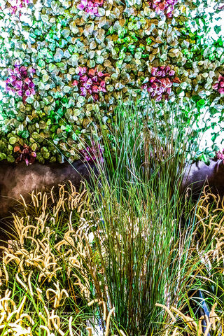 Whispers of a Dreamy Oasis 🌿✨