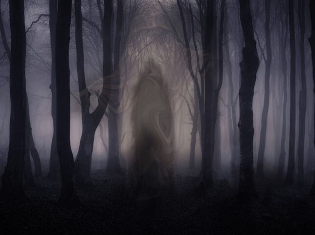 Shadow Walker Woods Wallpaper - Download to your mobile from PHONEKY
