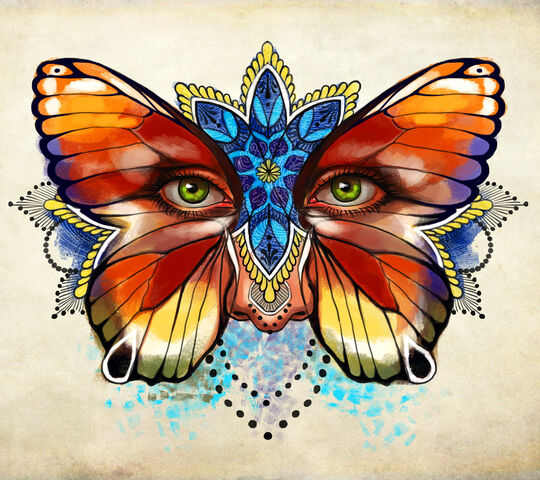 Butterfly Eyes Wallpaper - Download to your mobile from PHONEKY