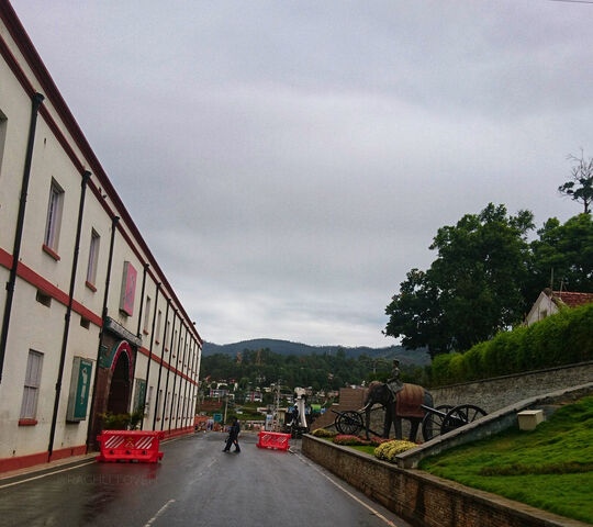 Sunday Morning Wallpaper - Download to your mobile from PHONEKY