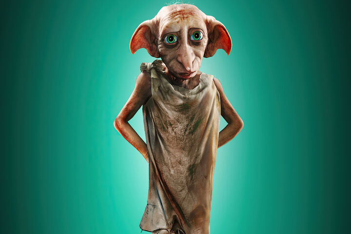 Dobby Wallpaper - Download to your mobile from PHONEKY