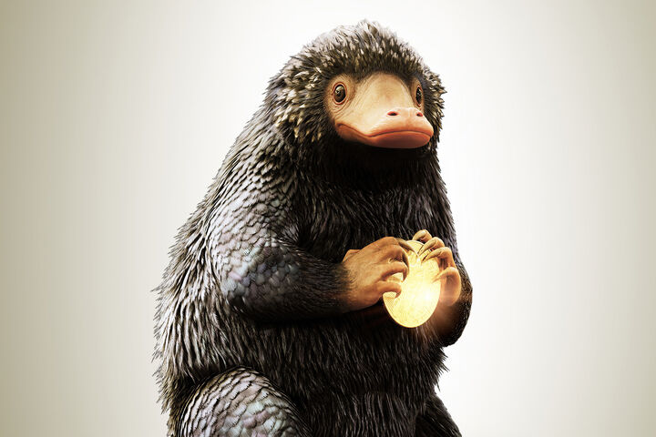 Niffler Wallpaper - Download to your mobile from PHONEKY