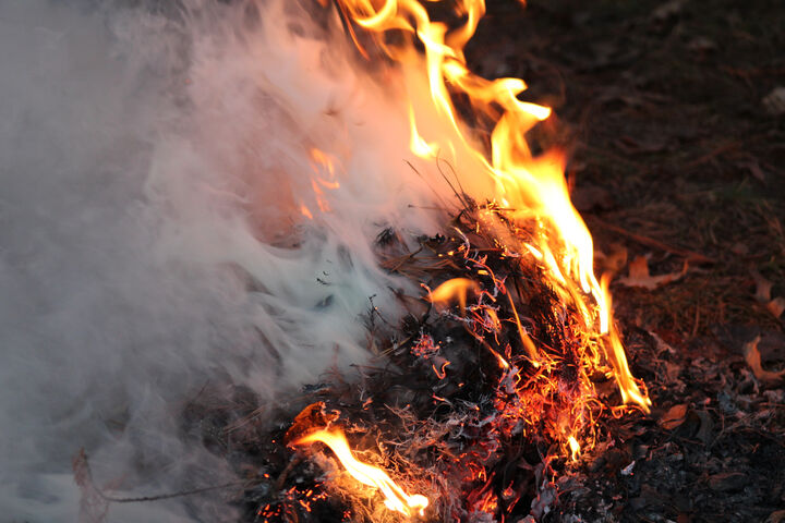 Cái ôm rực lửa của mùa thu 🍂🔥