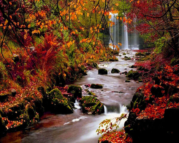 Autumn Wallpaper - Download to your mobile from PHONEKY