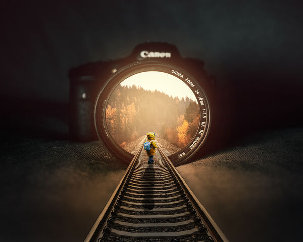 Camera Forest Wallpaper - Download to your mobile from PHONEKY