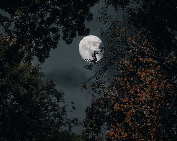 Luminous Night: A Full Moon's Embrace 🌕 Wallpaper - Download to your ...
