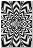 Whirlwind of Perception 🌪️✨