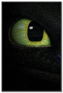 The Enigmatic Gaze of Toothless 🐉✨